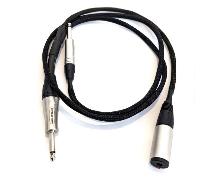 Costum speaker splitter