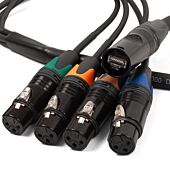 4-Way Audio over Cat Female XLR Breakout Cable – Neutrik & Van Damme