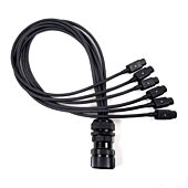 Socapex Spider - Male Socapex to Female IEC C13 Kettle Sockets