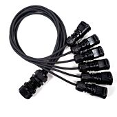 Socapex Spider - Male Socapex to Female 16amp CEE Sockets