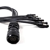 Socapex Spider - Male Socapex to Female Neutrik True1 Powercons
