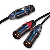 5 Pin Female XLR to Dual 3 Pin Male XLRs. Balanced and Stereo Y Cable