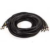 50cm Van Damme Orange Instrument Cable, Black and Gold Rean RCA to Neutrik Male XLR.