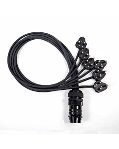 Socapex Spider - 15amp Round Pin Plug to 19 Pole Female Soca